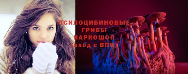 прущие грибы Лиски