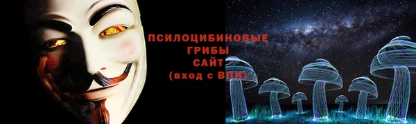 прущие грибы Липки