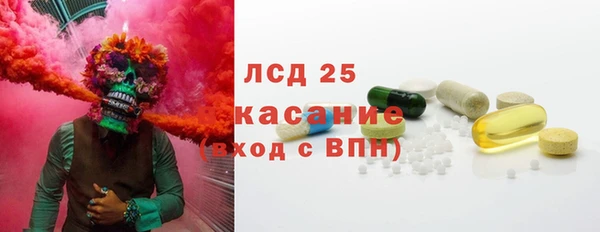 прущие грибы Липки